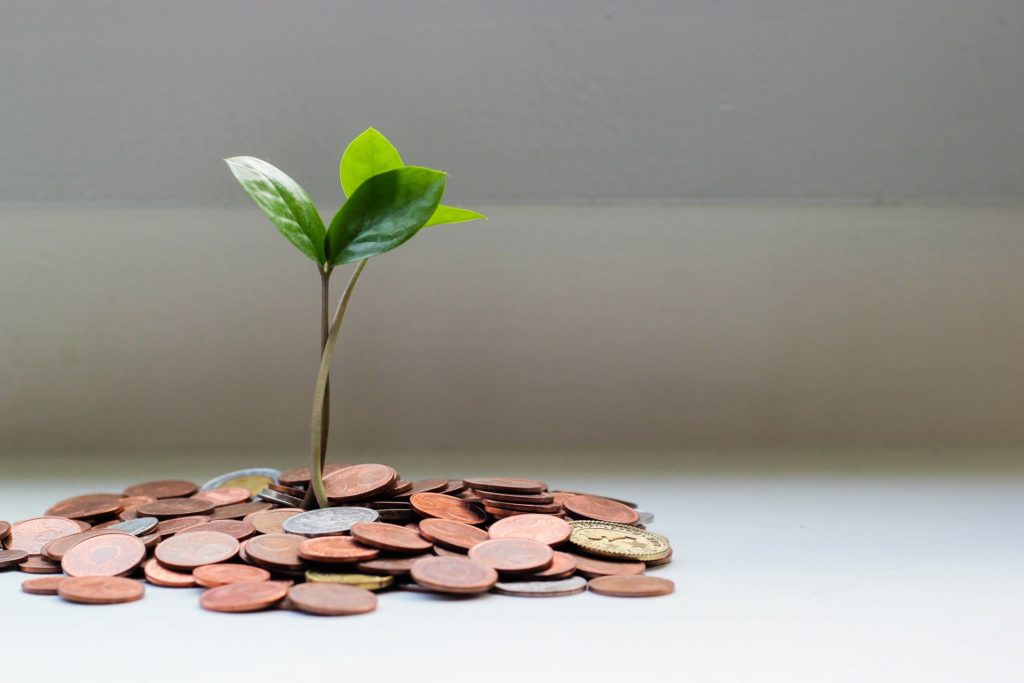 A young plant growing out of a pile of coins