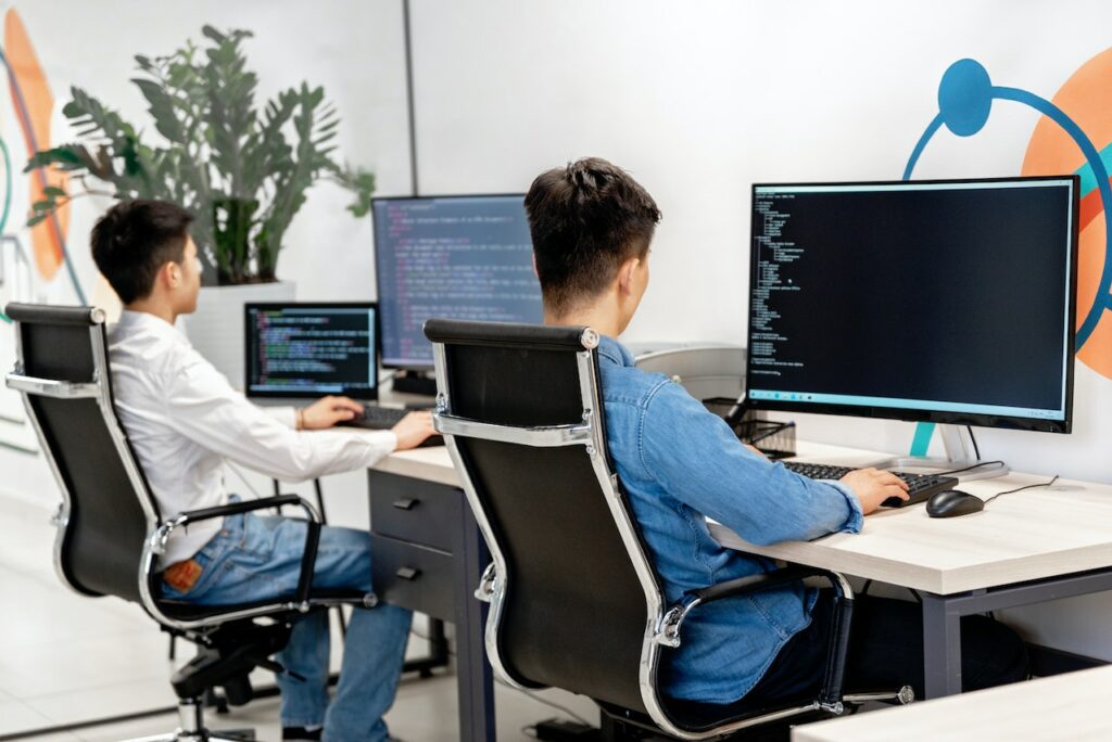 Two accountants working on their desktops